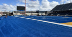 The Blue Turf Ring