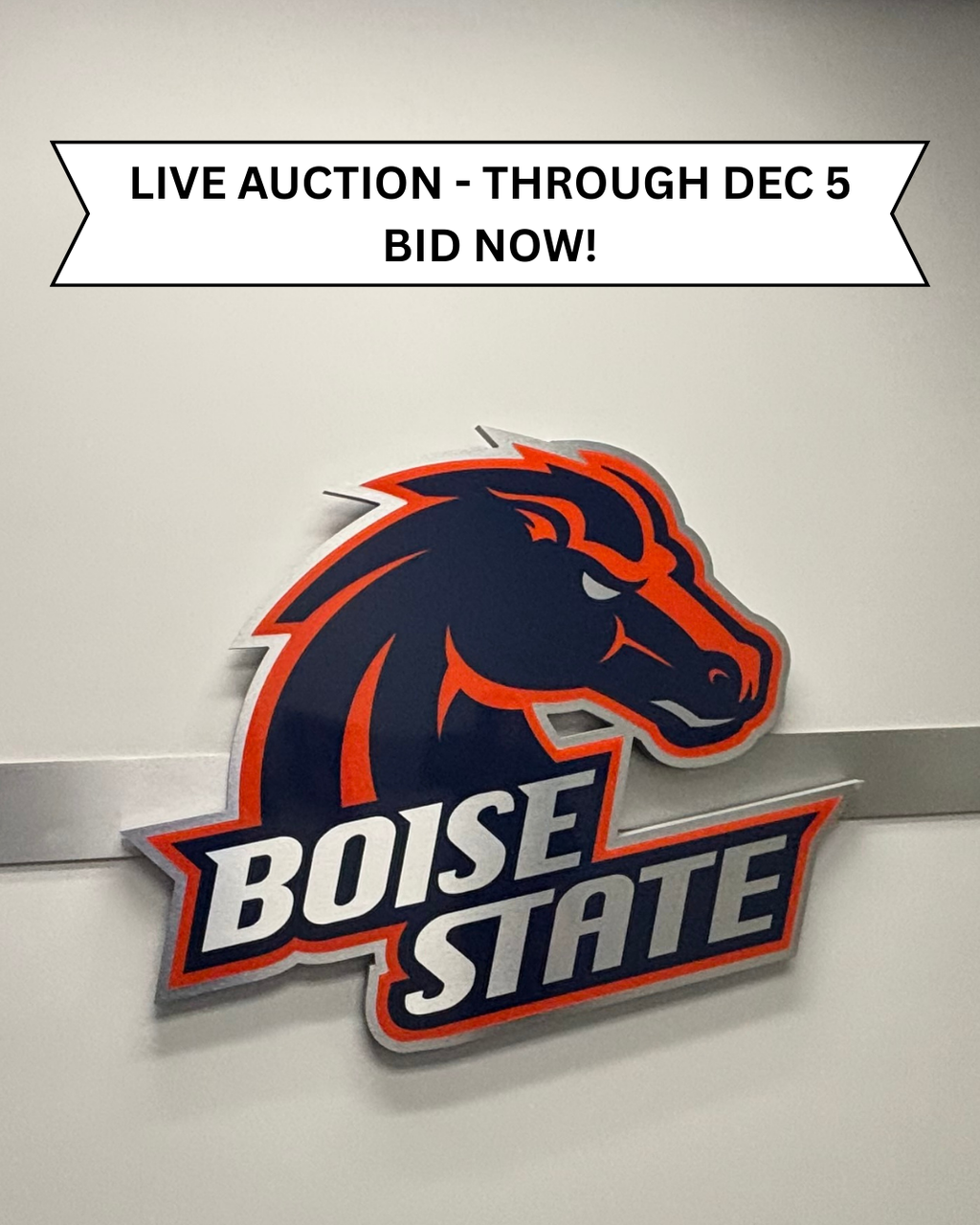 Auction Item: Boise State Football Office Sign