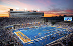The Blue Turf Ring