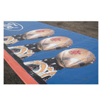 Albertsons Stadium Fiesta Bowl Banner